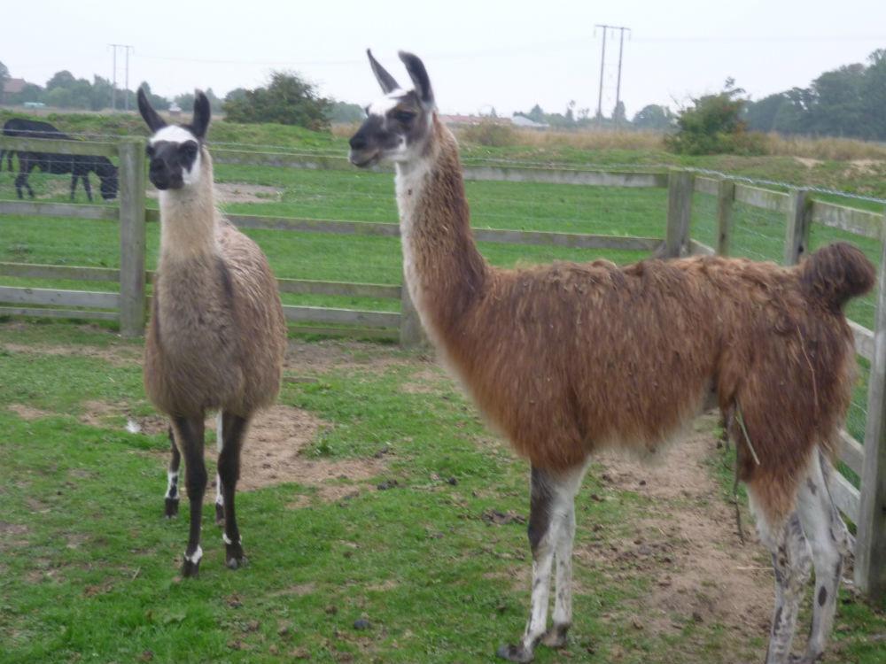 Отель Barmston Farm Кингстон-апон-Халл Экстерьер фото
